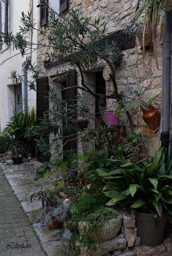 Cosy Provencal Lejlighed Belgentier Eksteriør billede